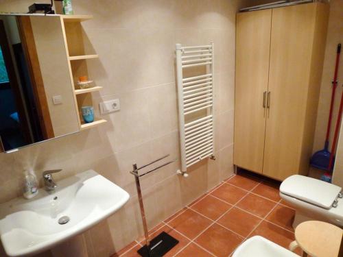 Imagen general del Apartamentos Formigal - admite mascotas, Sallent de Gallego. Foto 4