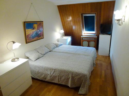 Imagen general del Apartamentos Formigal - admite mascotas, Sallent de Gallego. Foto 5