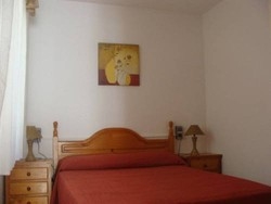 Imagen general del Apartamentos Forner. Foto 14