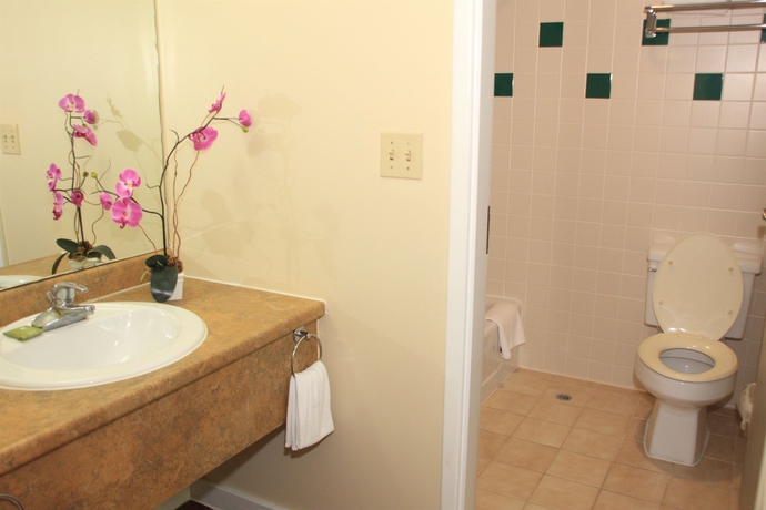 Imagen de la habitación del Apartamentos Garden Villa Hotel. Foto 4
