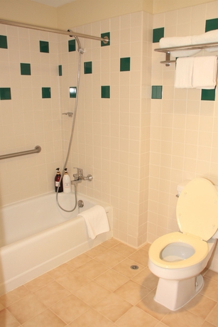 Imagen de la habitación del Apartamentos Garden Villa Hotel. Foto 12