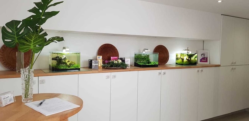 Imagen de los interiores del Apartamentos Gelimar. Foto 19