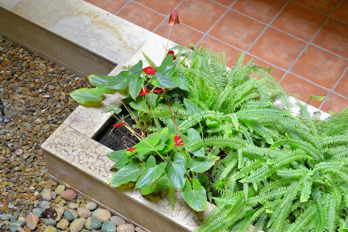 Imagen general del Apartamentos Golden Beach, Sant Carles de la Rapita. Foto 2