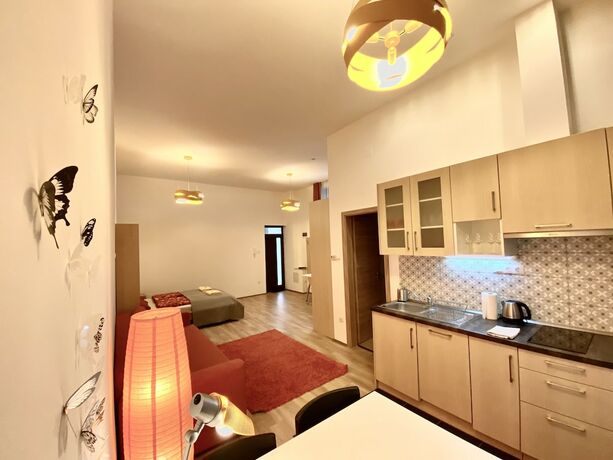 Imagen general del Apartamentos Gracia Apartment House. Foto 15