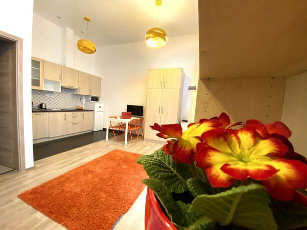 Imagen general del Apartamentos Gracia Apartment House. Foto 17