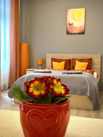 Imagen general del Apartamentos Gracia Apartment House. Foto 19