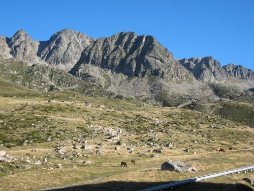 Imagen general del Apartamentos Gran Tetras. Foto 5