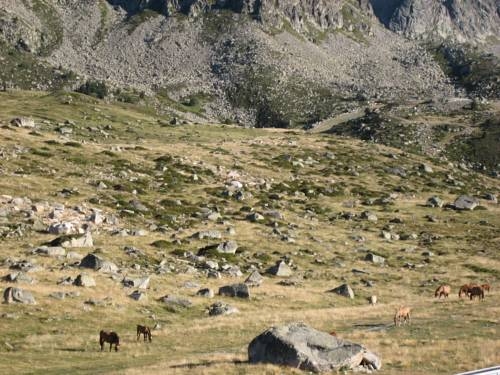 Imagen general del Apartamentos Gran Tetras. Foto 6