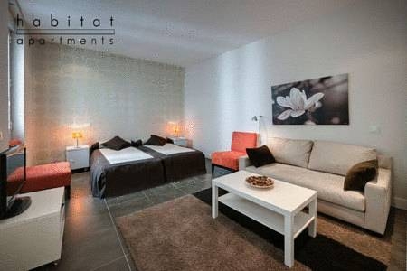 Imagen general del Apartamentos Gran Via, Madrid. Foto 7