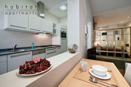 Imagen general del Apartamentos Gran Via, Madrid. Foto 14