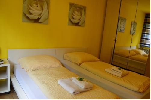 Imagen general del Apartamentos Grenzberg. Foto 4