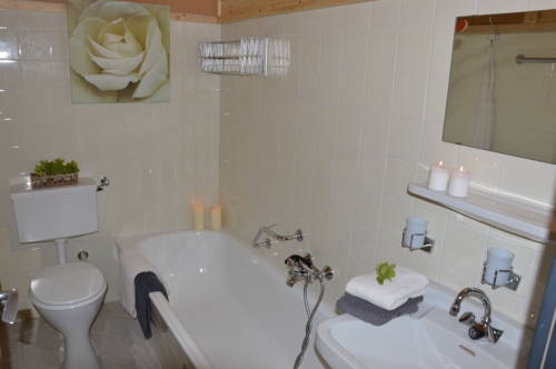 Imagen general del Apartamentos Grenzberg. Foto 6