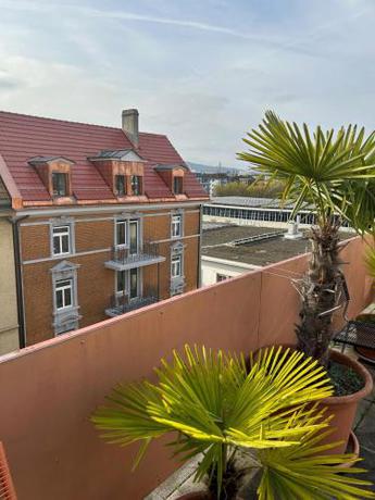 Imagen general del Apartamentos Guesthouse Elisa 6. Foto 5