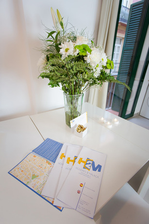 Imagen general del Apartamentos HOLIDAYS2MALAGA FLAMENCO. Foto 3