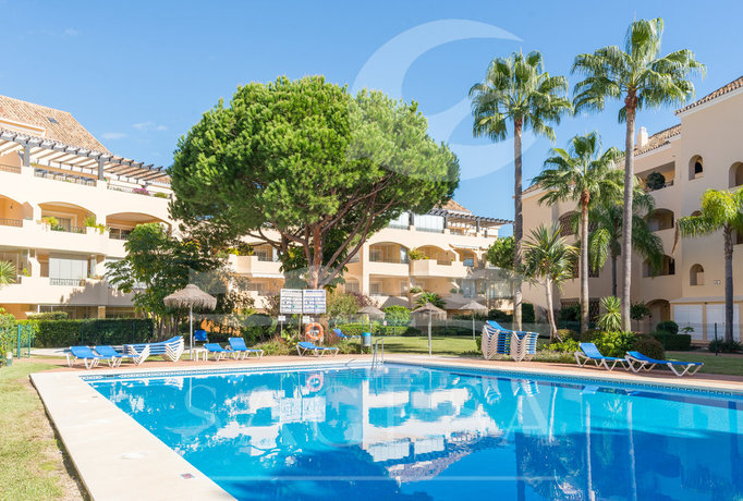 Imagen de la piscina del Apartamentos Hacienda Playa. Foto 22