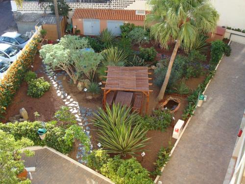 Imagen general del Apartamentos Hapimag Ferienwohnungen Puerto de la Cruz. Foto 2