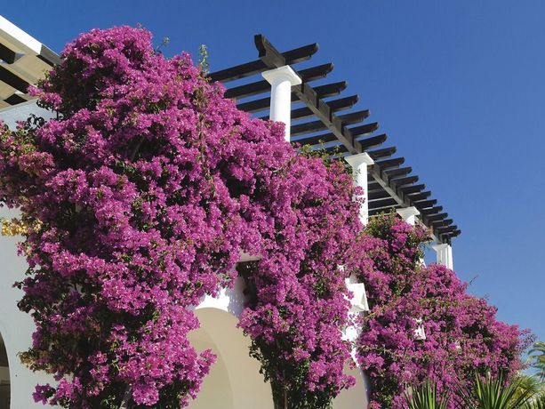 Imagen de los exteriores del Apartamentos Hapimag Resort Albufeira. Foto 11