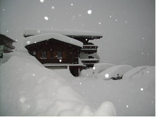 Imagen general del Apartamentos Haus Bartolot. Foto 6