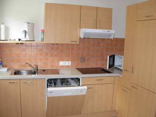 Imagen general del Apartamentos Haus Landers. Foto 8