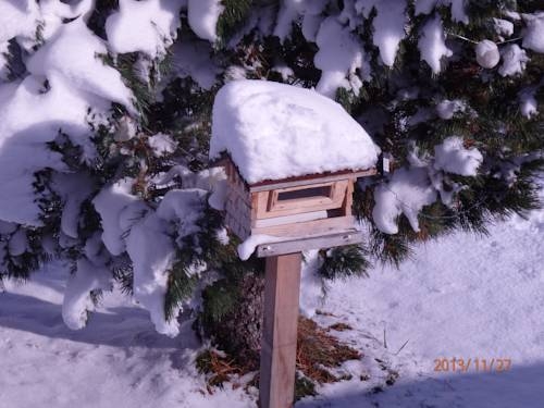 Imagen general del Apartamentos Haus Steinbock. Foto 5