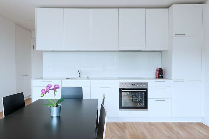 Imagen general del Apartamentos Hitrental Basel. Foto 8