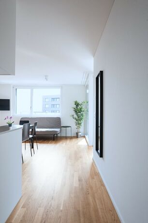 Imagen general del Apartamentos Hitrental Basel. Foto 15