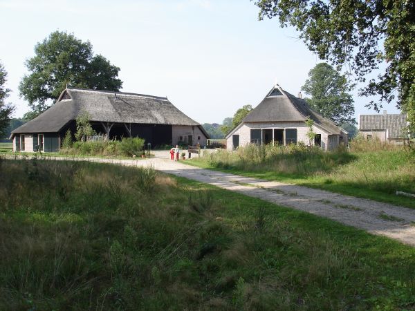 Imagen general del Apartamentos Holiday Home in De Wolden near Forest. Foto 1