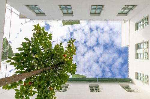 Imagen general del Apartamentos Holiday Rentals Los Salados. Foto 4