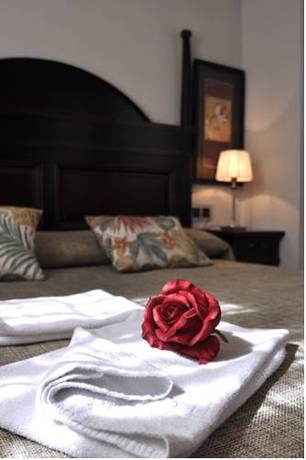 Imagen general del Apartamentos Holiday Rentals Tempa Museo. Foto 2