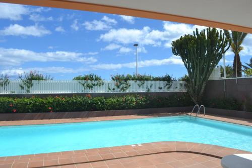 Imagen de la piscina del Apartamentos Horizonte, Playa del Inglés. Foto 7