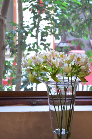 Imagen de los exteriores del Apartamentos Hotel Boutique Casa Del Jard&iacute;n Aguascalientes. Foto 4