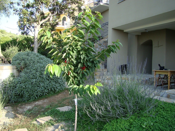 Imagen de los exteriores del Apartamentos I Valloni. Foto 14