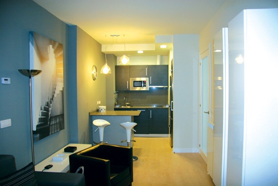 Imagen general del Apartamentos IRENAZ VITORIA. Foto 2