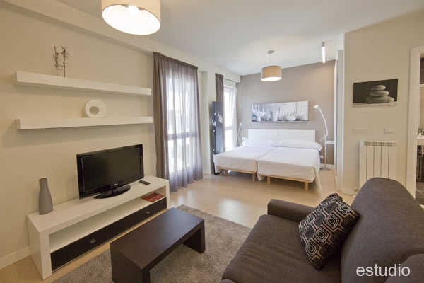 Imagen general del Apartamentos IRENAZ VITORIA. Foto 3