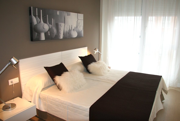 Imagen general del Apartamentos IRENAZ VITORIA. Foto 4