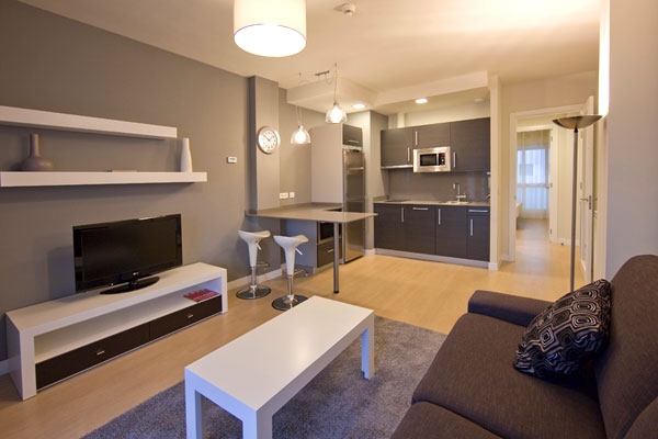 Imagen general del Apartamentos IRENAZ VITORIA. Foto 7