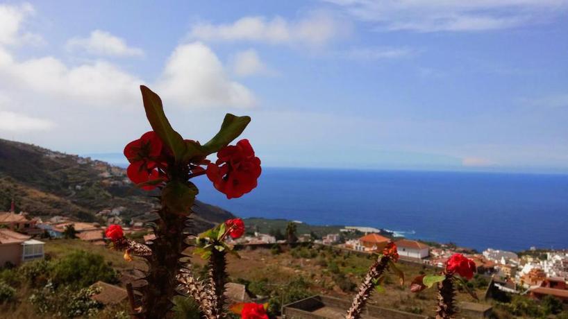 Imagen general del Apartamentos Islas Canarias, Icod de los Vinos. Foto 10