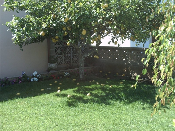 Imagen general del Apartamentos Jardin Del Oro. Foto 2