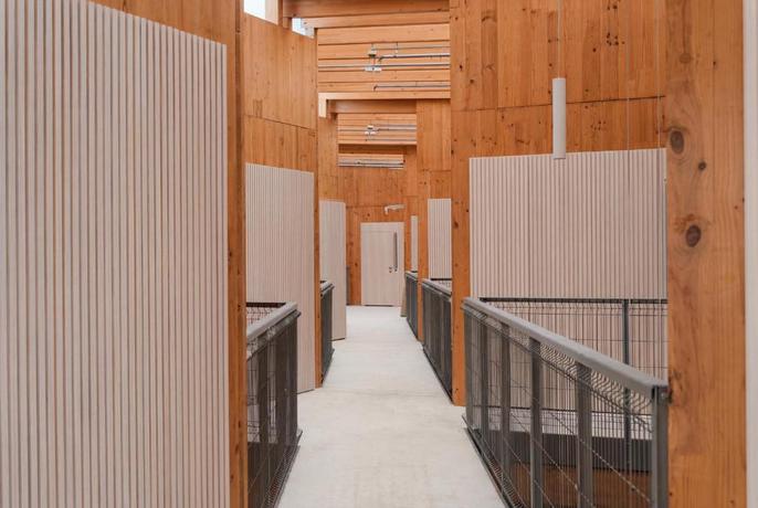 Imagen de los interiores del Apartamentos Kora Olea. Foto 8