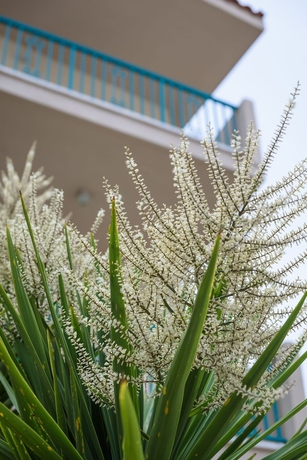 Imagen de la habitación del Apartamentos Kyveli. Foto 2