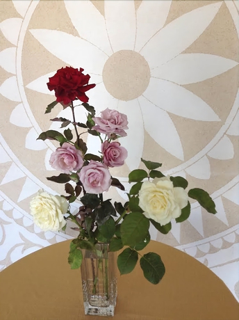 Imagen de los interiores del Apartamentos Kyveli. Foto 18