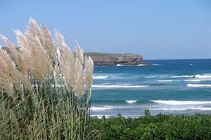 Imagen de los exteriores del Apartamentos LA BOLERA 3000. Foto 4