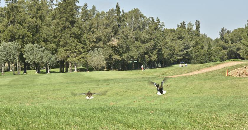 Imagen general del Apartamentos LA SELLA PREMIUM lifestyle Apartments. Foto 3