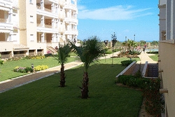 Imagen general del Apartamentos LEO LAS DUNAS. Foto 3