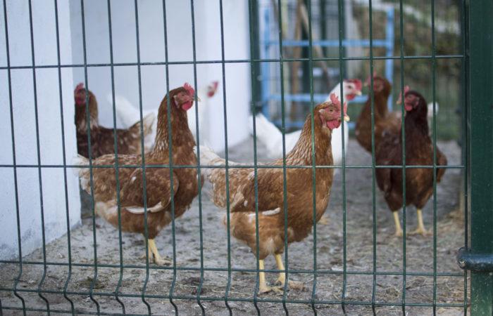 Imagen general del Apartamentos La Cotera. Foto 4