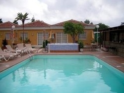 Imagen de la piscina del Apartamentos La Mirage Swingers. Foto 7