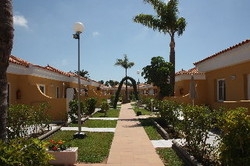 Imagen de la habitación del Apartamentos La Mirage Swingers. Foto 5