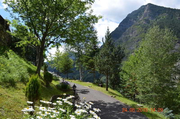 Imagen general del Apartamentos La Peguera. Foto 6