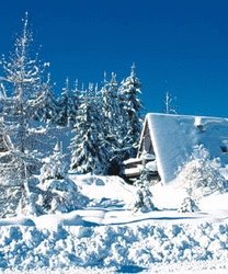 Imagen general del Apartamentos Lagrange Confort + Kid Les Maisons De Pre Saint Ja. Foto 3