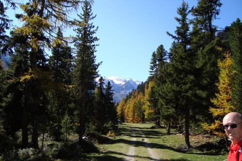 Imagen de la habitación del Apartamentos Landhaus Bachler. Foto 12